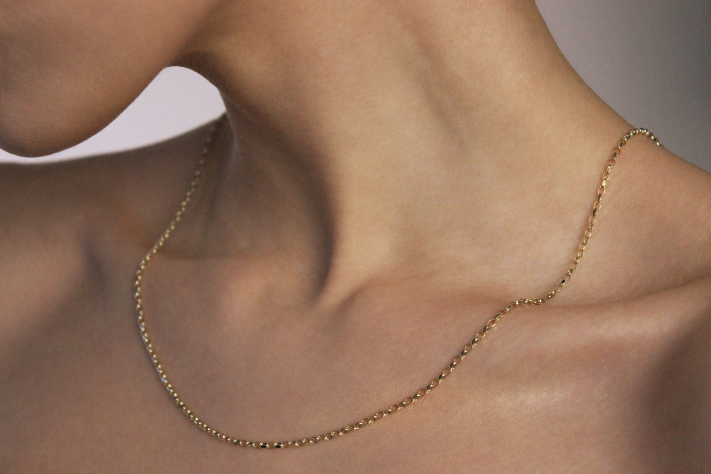 9ct Diamond cut Belcher Chain (L)