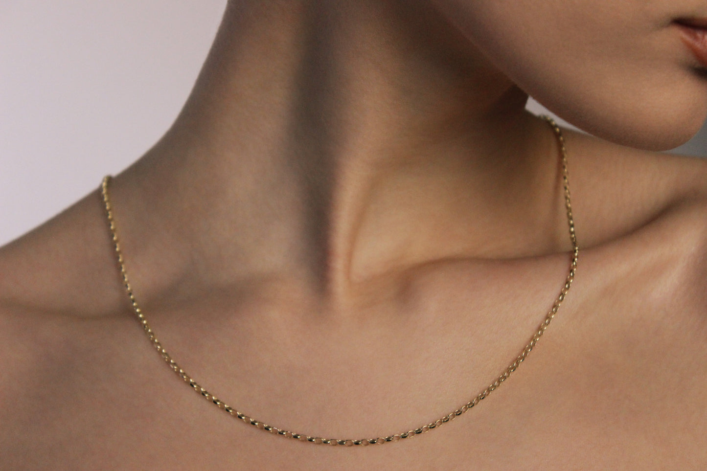 9ct Diamond cut Belcher Chain (L)