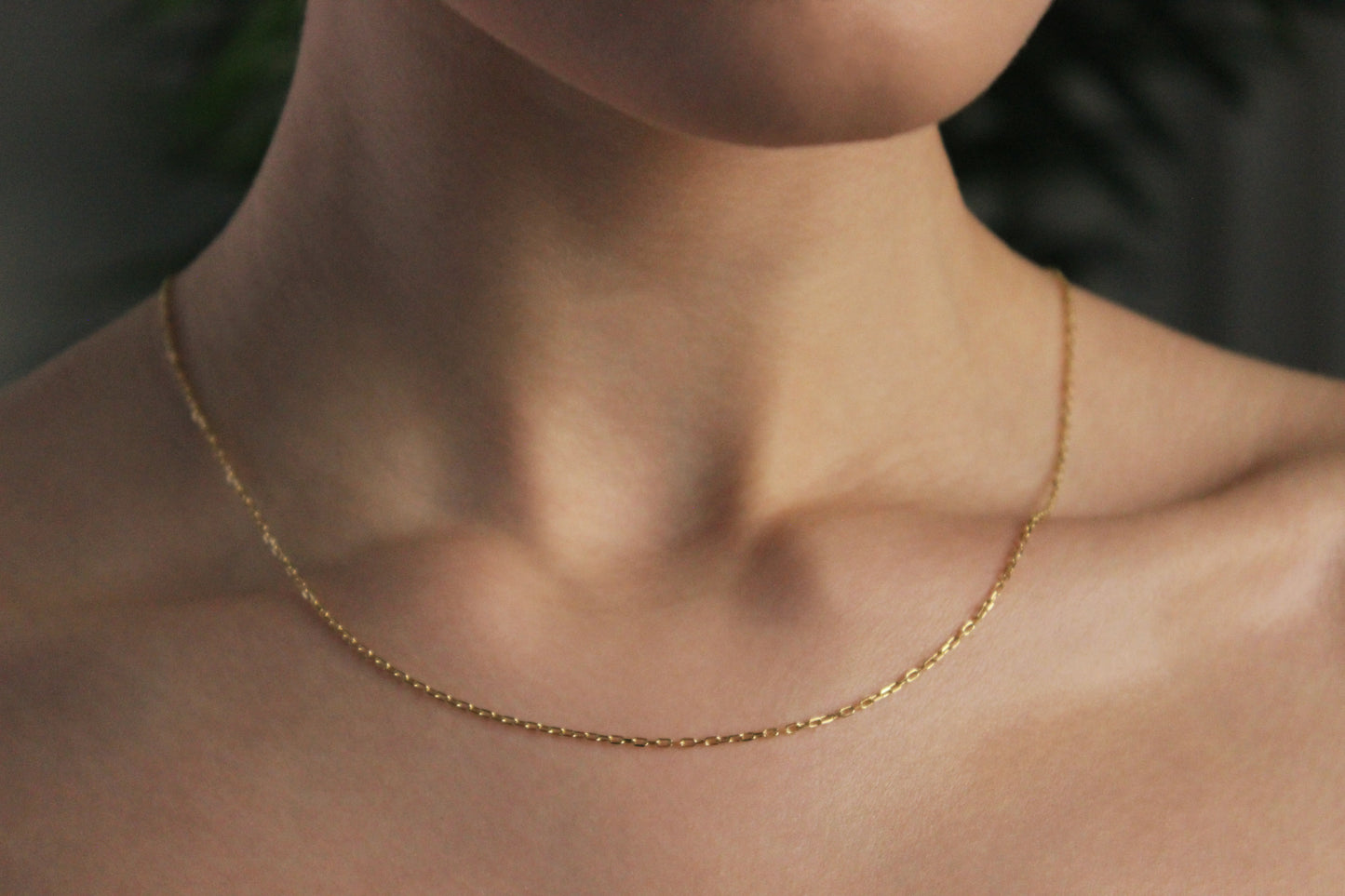 9ct Square Cut Belcher Chain