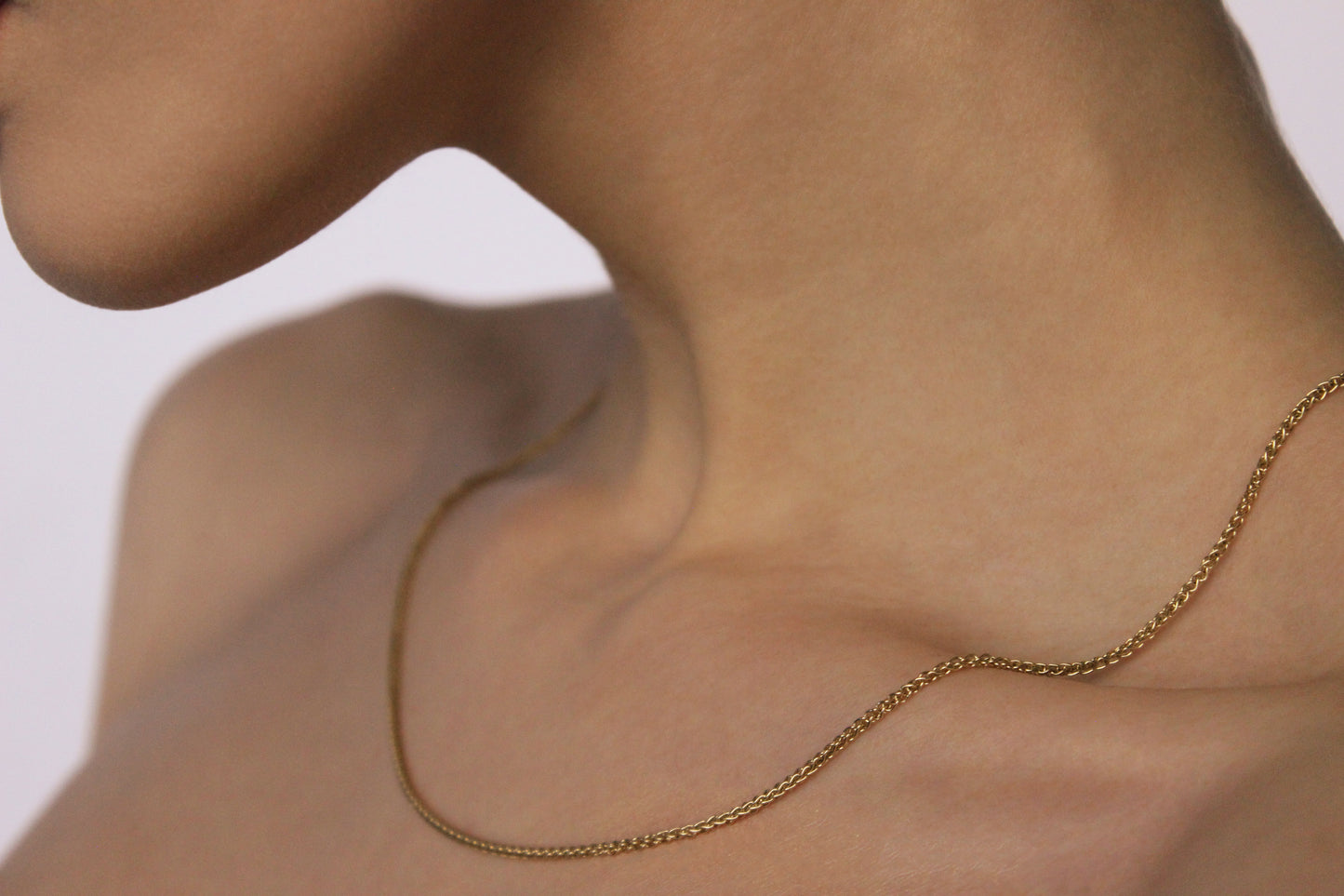 9ct Spiga chain (L)