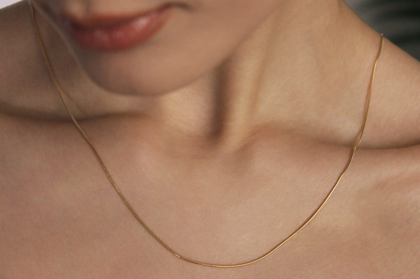 9ct Gold Round Snake chain